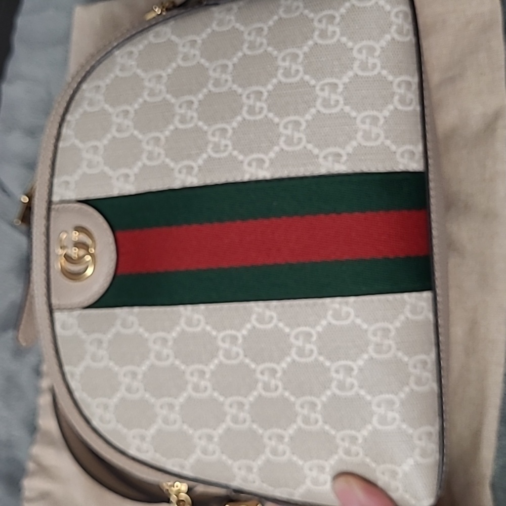 Gucci Ophidia handbag